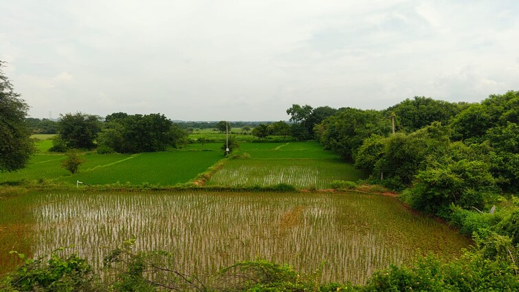 Cover Image, chevalla Commercial Land 5 Acre In Chevalla Hyderabad 9175977