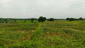Plot Area in  Land at Chevalla – for Sale