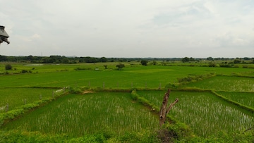 Plot Area in  Land at Chevalla – for Sale