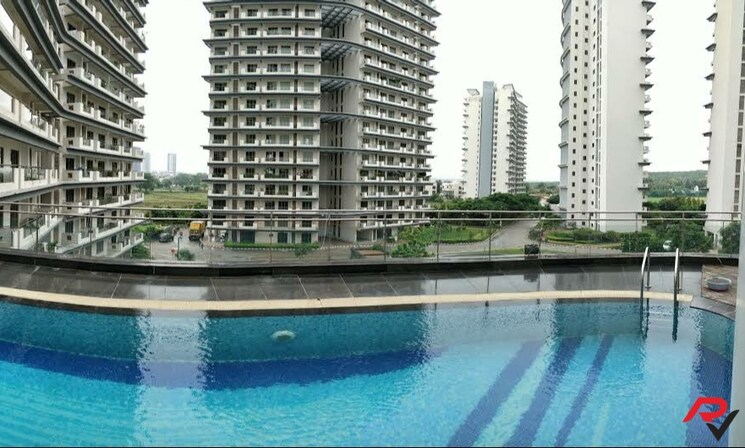 Swimming Pool, tata-raheja-raisina-residency 4 Bedroom 3829 Sq.Ft. Apartment In Sector 59 Gurgaon 9176318