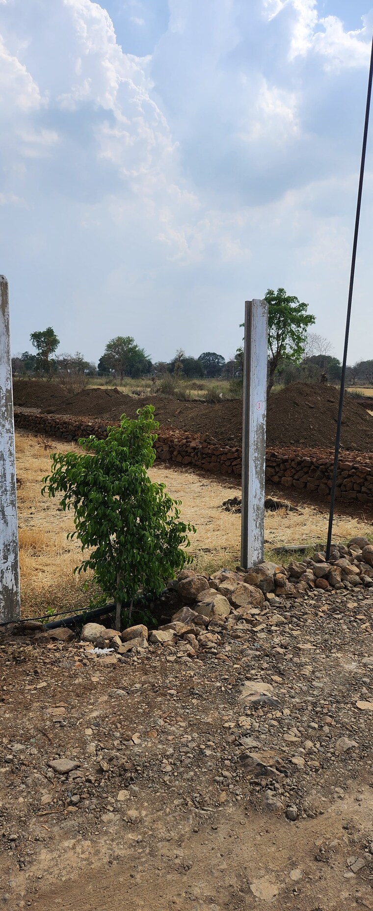 undefined, barela  1000 Sq.Ft. Plot In Barela Jabalpur 9176412