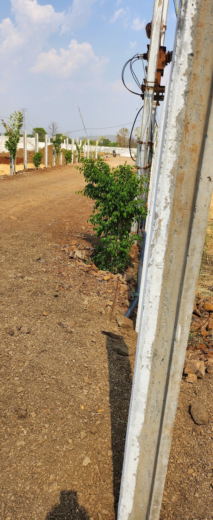 undefined, barela  1000 Sq.Ft. Plot In Barela Jabalpur 9176412