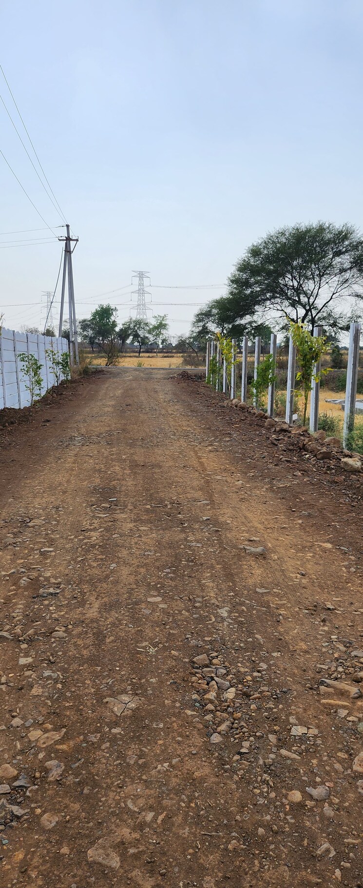 undefined, barela  1000 Sq.Ft. Plot In Barela Jabalpur 9176412