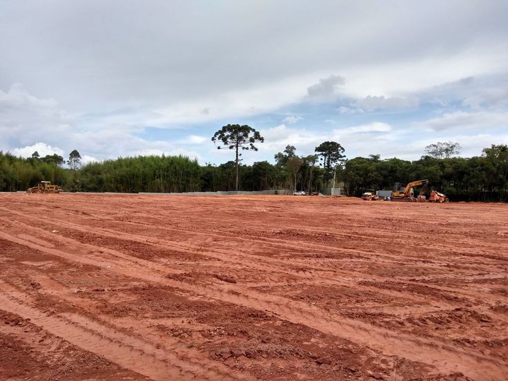Plot For Sale in Plp Plot