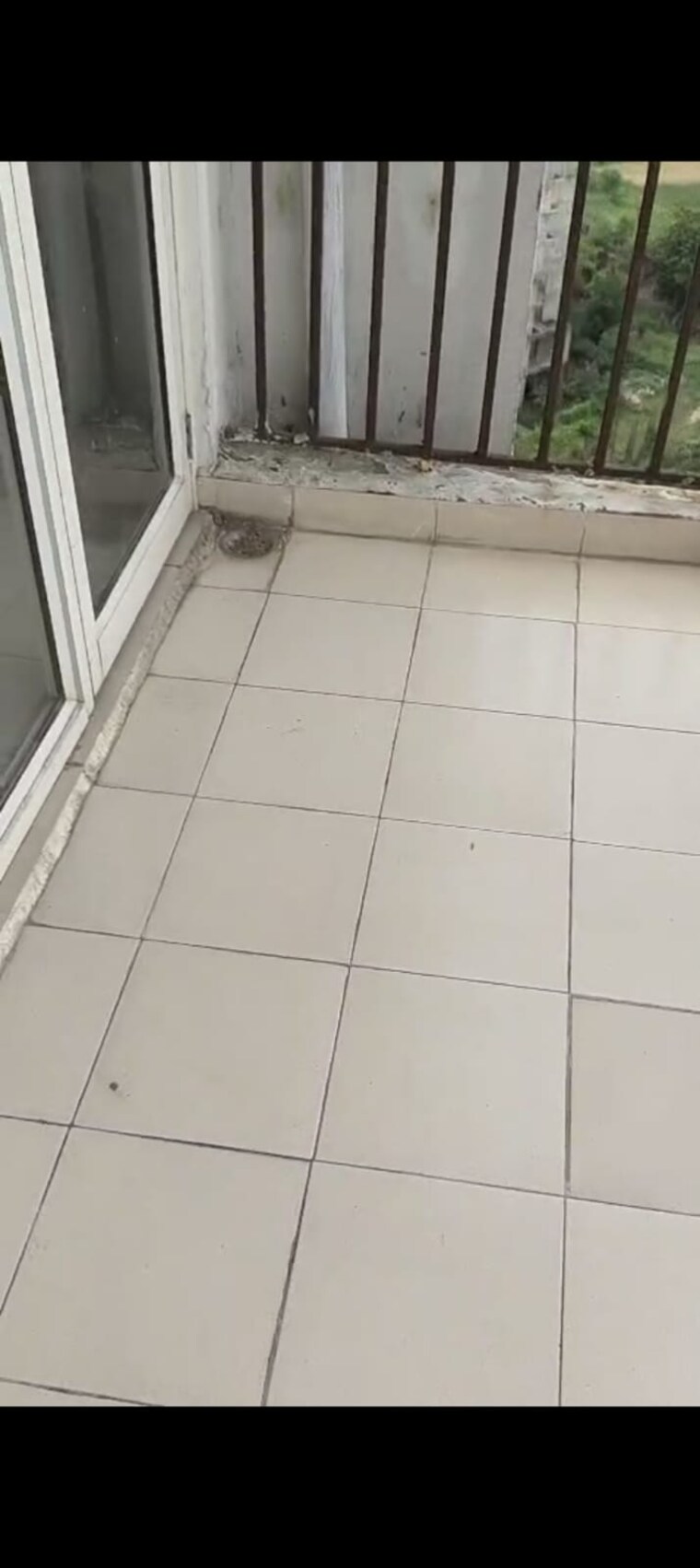 Balcony, gaur-city-2-11th-avenue 2.5 Bedroom 1205 Sq.Ft. Apartment In Sector 16c Greater Noida Greater Noida 9176838