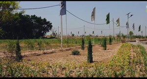  Plot For Sale in Panchkula Urban Estate