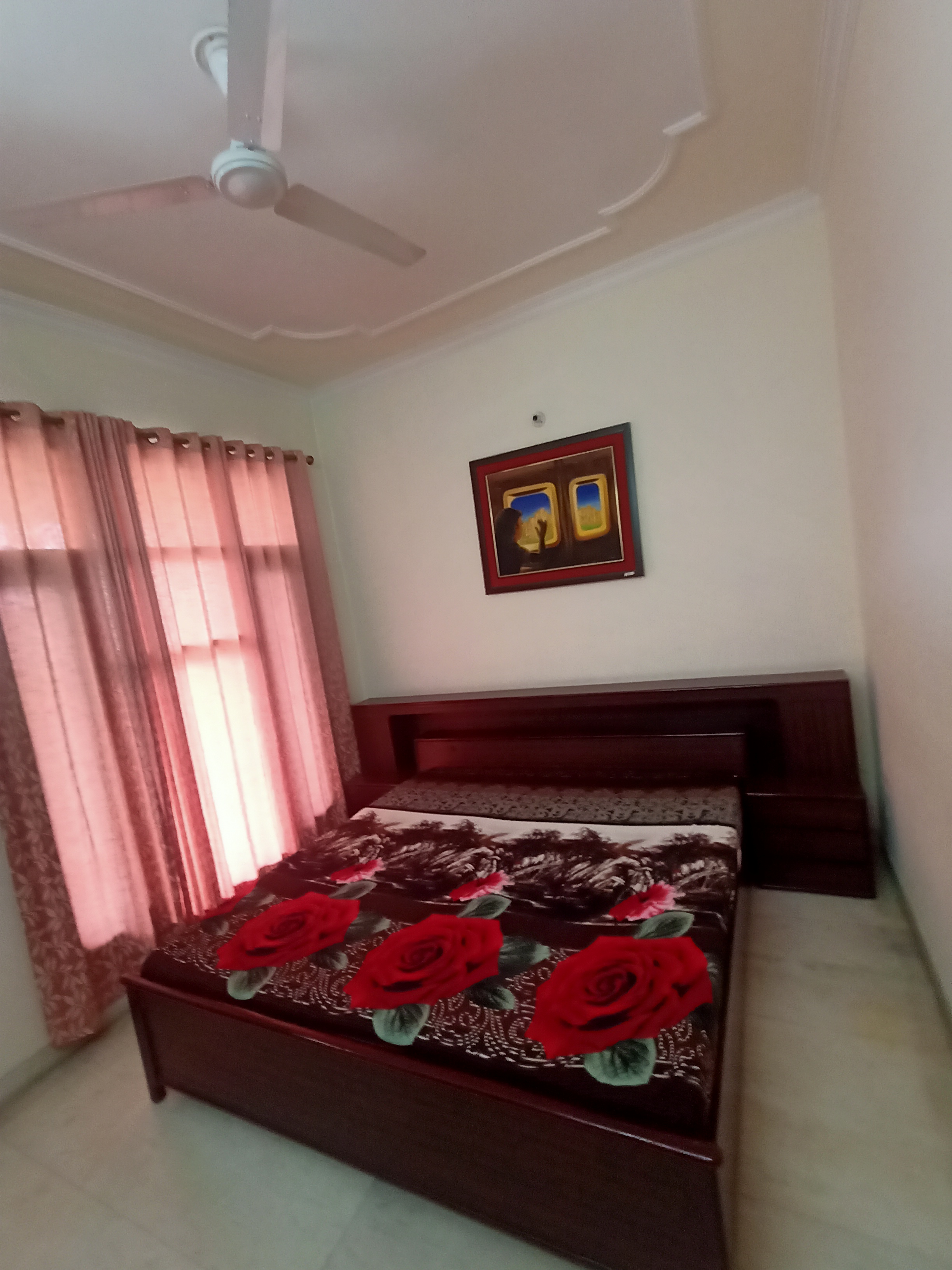 3 BHK + Study Room Independent House For Rent in Sector 16