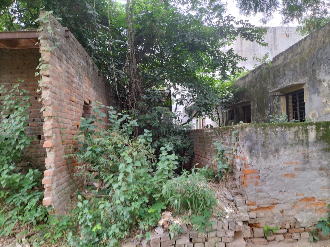 Plot For Sale in Sector 36 Greater Noida