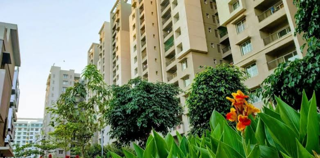 3 BHK Apartment For Rent in Sobha Habitech