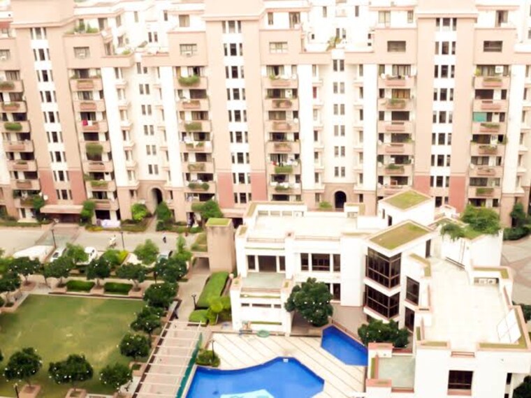 Team Area, orchid-gardens 3 Bedroom 1575 Sq.Ft. Apartment In Sector 54 Gurgaon 9177904