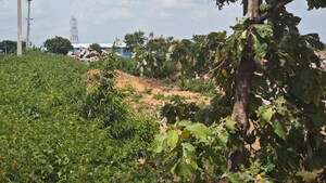 Plot Area in  Plot at Shadnagar – for Sale