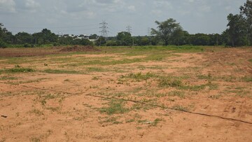 Plot Area in  Plot at Shadnagar – for Sale