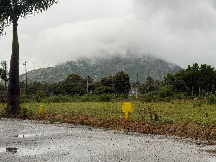 undefined, chikkaballapur  1200 Sq.Ft. Plot In Chikkaballapur Bangalore 9177997