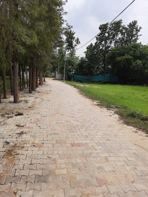 Plot Area in  Plot at Alipur – for Sale