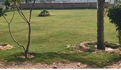 Plot For Sale in JMS The Pearl