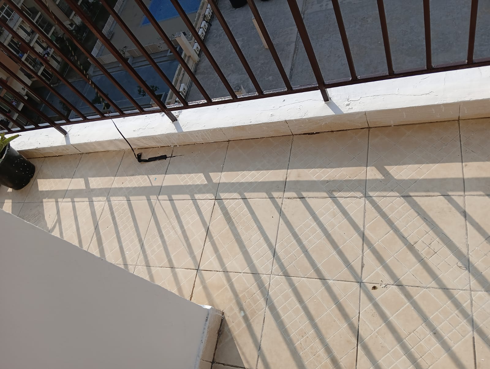 3 BHK Apartment For Sale in Amolik Sankalp