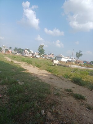  Plot For Sale in Dheeraj Nagar