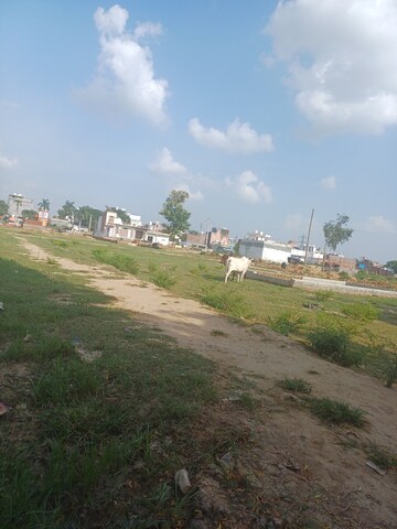 Plot For Sale in Dheeraj Nagar