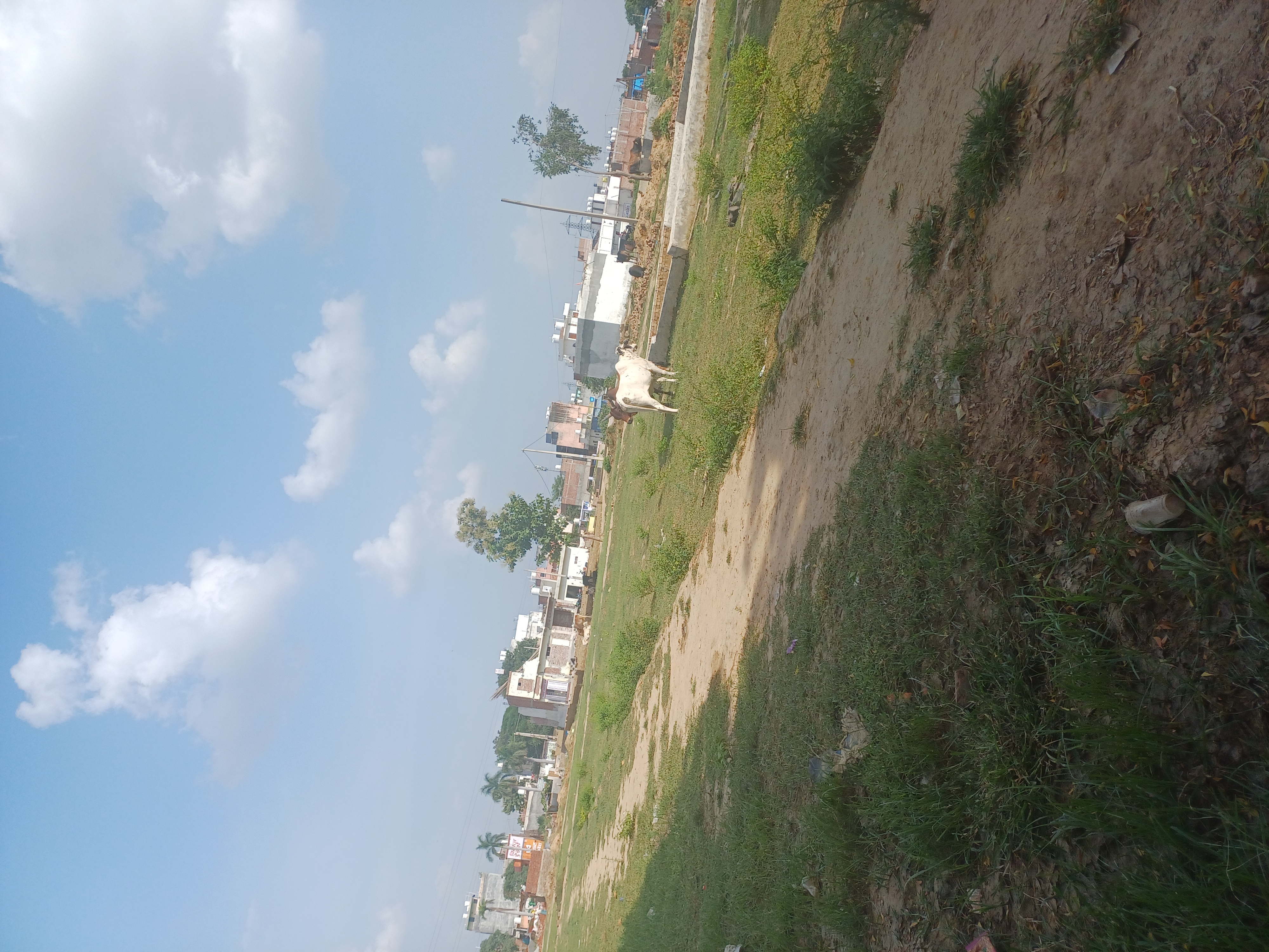 Plot For Sale in Om Associates 