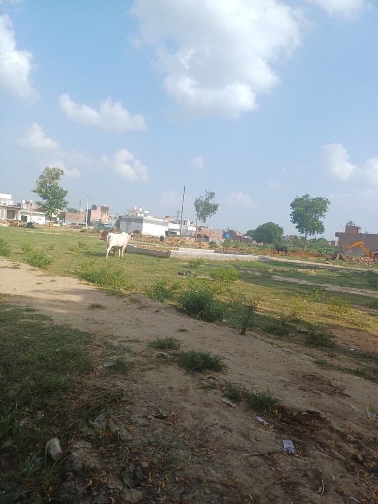 Garden, dheeraj nagar  148 Sq.Yd. Plot In Dheeraj Nagar Faridabad 9178485