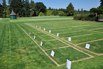 Plot For Sale in Manish Nagar