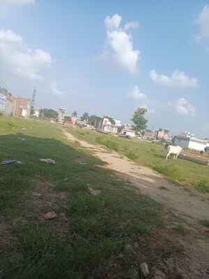  Plot – Exterior View View at Dheeraj Nagar - for Sale