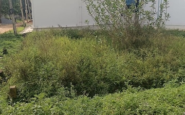 Plot For Sale in Neraluru