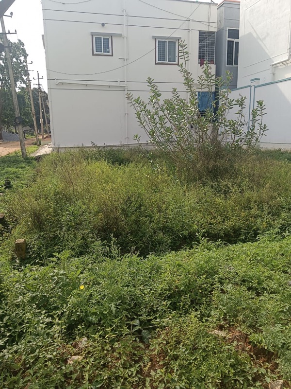 Plot For Sale in Terracon Enclave