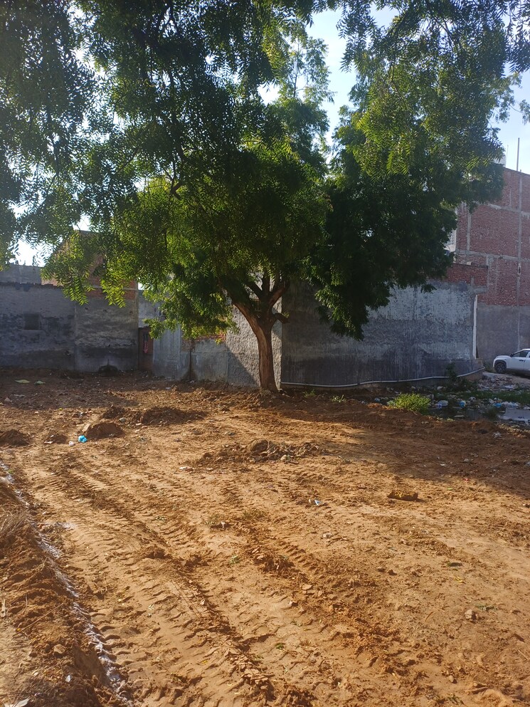 Garden, dheeraj nagar  150 Sq.Yd. Plot In Dheeraj Nagar Faridabad 9178980