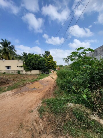  Plot For Sale in Chikkagubbi Village