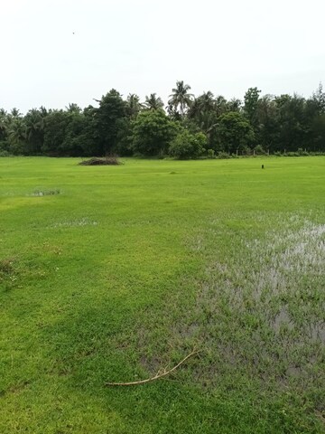  Plot For Sale in Majali