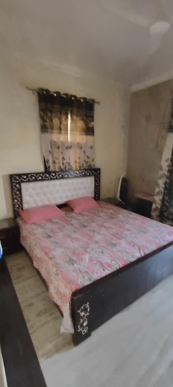 3 BHK Builder Floor For Rent in Sector 37