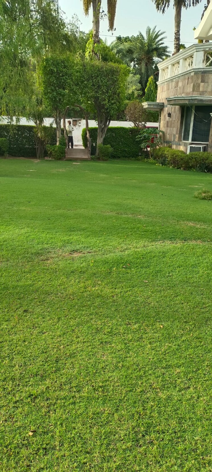 Garden, sainik farm 6 Bedroom 2500 Sq.Yd. Villa In Sainik Farm Delhi 9179339