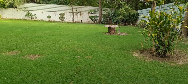 Garden, sainik farm 6 Bedroom 2500 Sq.Yd. Villa In Sainik Farm Delhi 9179339