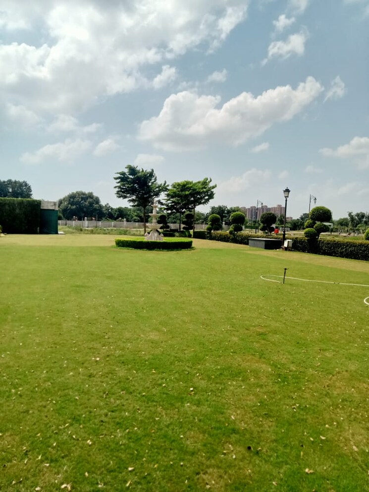 Garden, meffier-golden-park  174 Sq.Yd. Plot In Sohna Sector 4 Gurgaon 9179386