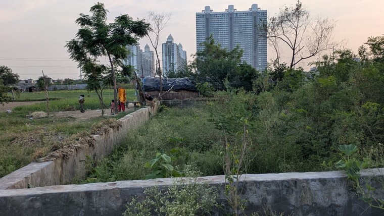 undefined, sector 145  140 Sq.Yd. Plot In Sector 145 Noida 9179499