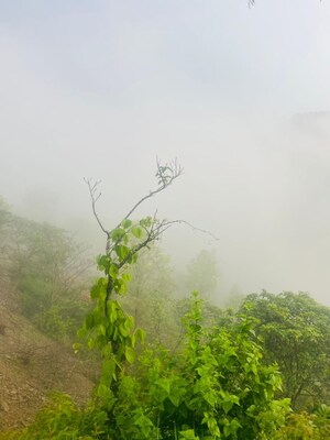 2 BHK Villa – Garden View at Lansdowne - for Sale