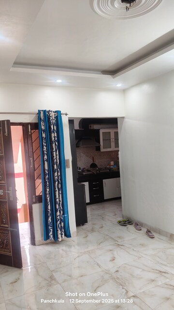 Living Room in 3 BHK Apartment at Sector 20 – for Rent