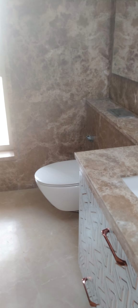 2 BHK 802 Sq.Ft. Apartment in Emaar Digi Homes