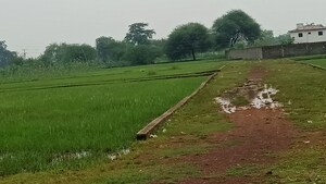  Plot For Sale in Kathadih