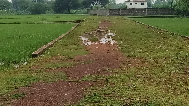 undefined, kathadih  1000 Sq.Ft. Plot In Kathadih Raipur 9180633