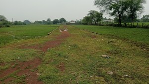 Plot Area in  Plot at Kathadih – for Sale