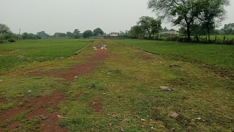 undefined, kathadih  1000 Sq.Ft. Plot In Kathadih Raipur 9180633