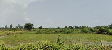  Plot For Sale in Kumhari