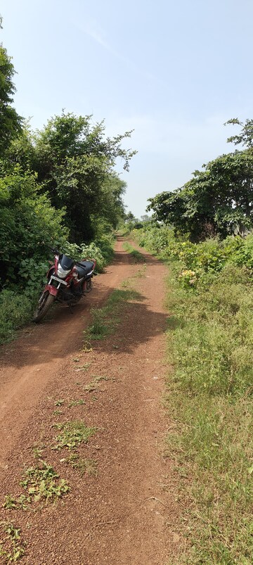  Plot – Garden View at Kumhari - for Sale
