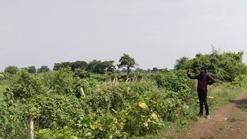 Plot Area in  Plot at Kumhari – for Sale