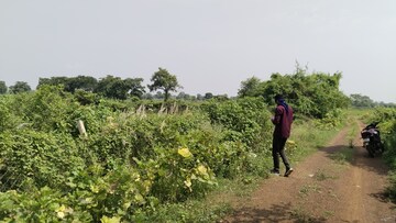  Plot – Garden View at Kumhari - for Sale