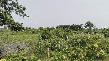 Plot Area in  Plot at Kumhari – for Sale