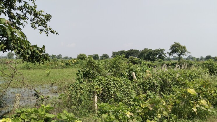 undefined, kumhari  6 Acre Plot In Kumhari Raipur 9180719
