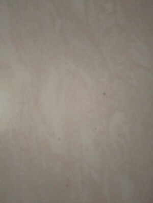  Office Space For Sale in Atul Tower CHS, Kandivali West